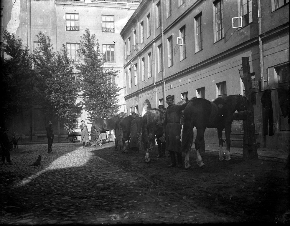 II Oddział Straży Ogniowej w Ratuszu, 1916, czyszczenie koni (C) Archiwum Rodziny Rychterów